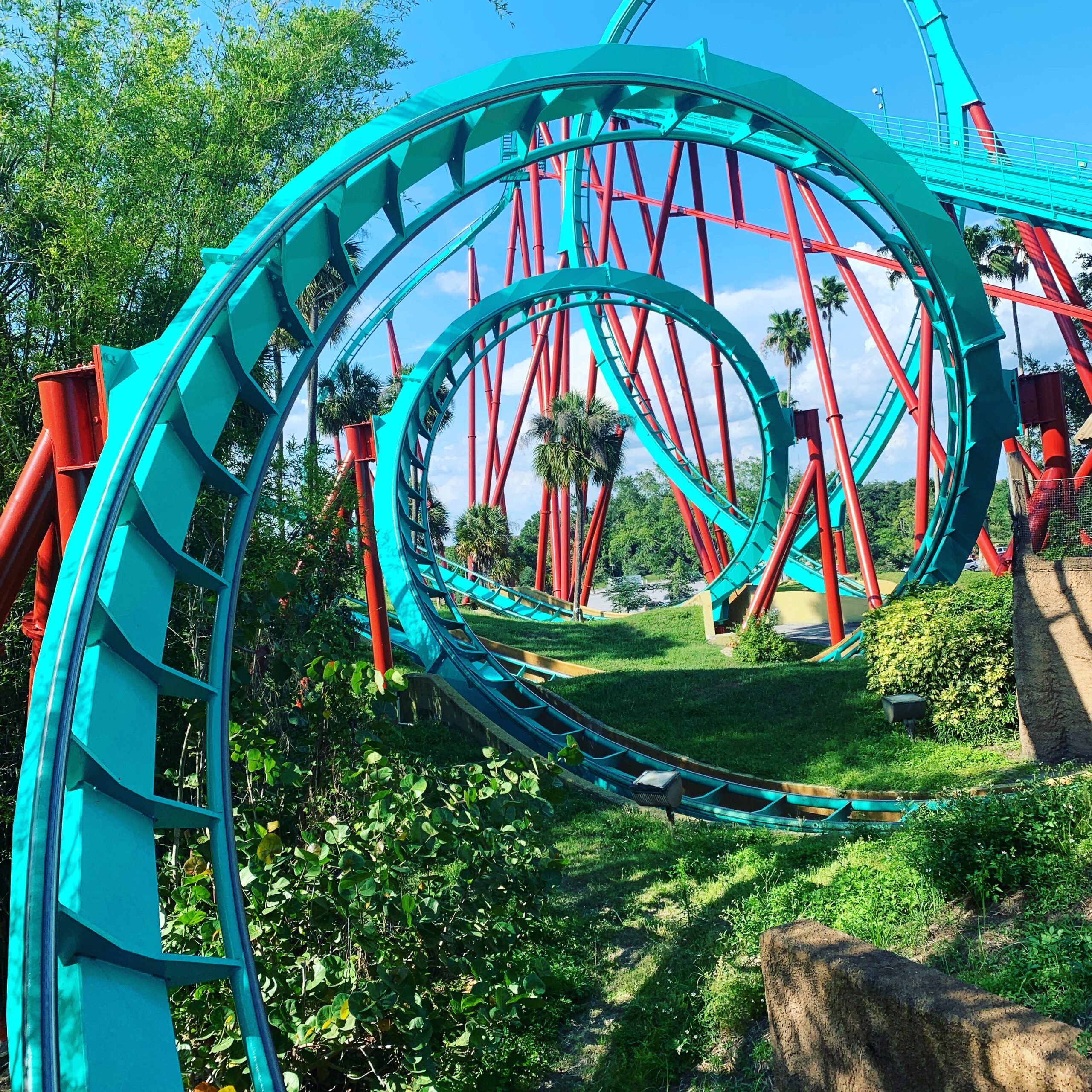 Kumba at Busch Gardens Tampa